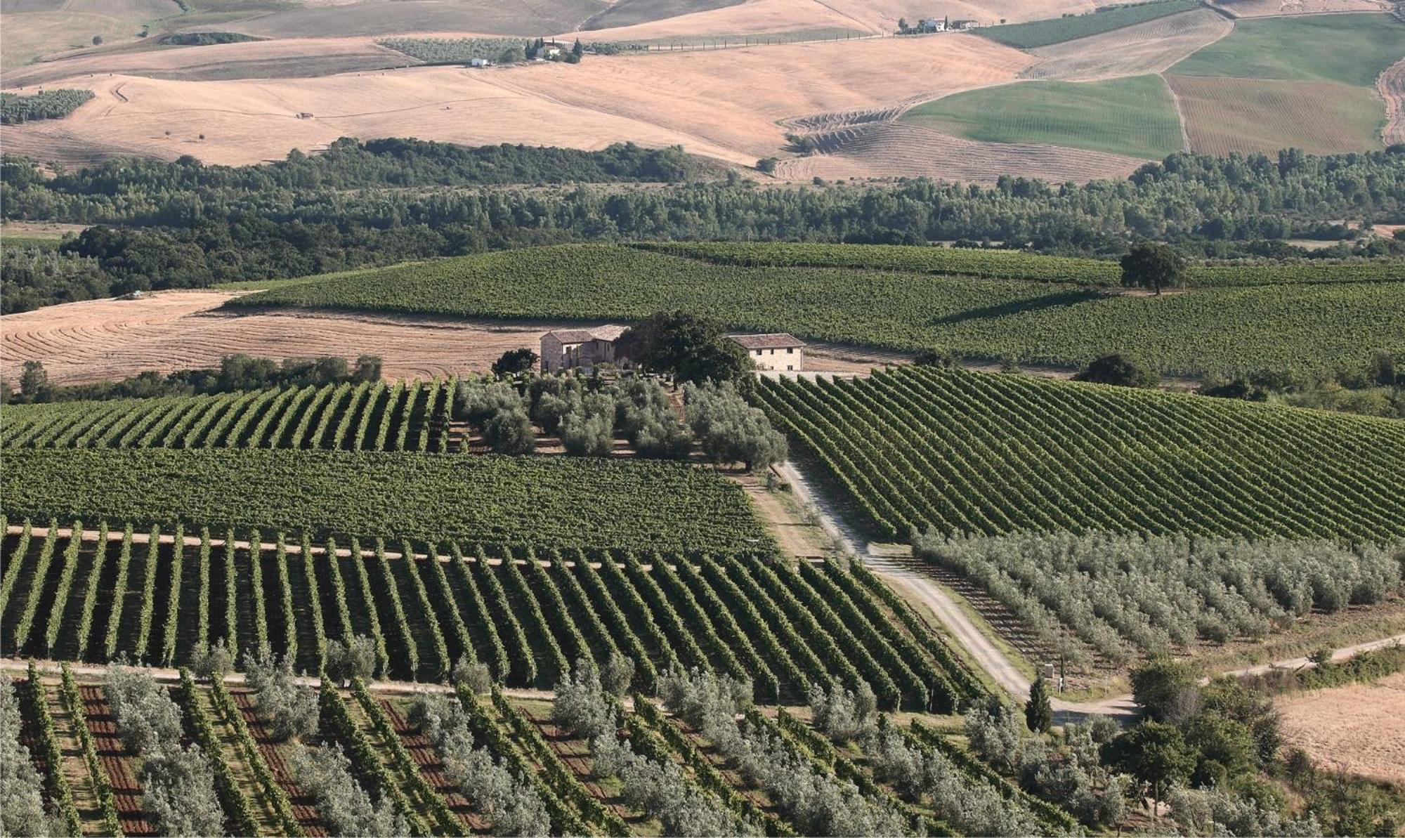 Agriturismo Il Poggione Montalcino Exterior photo
